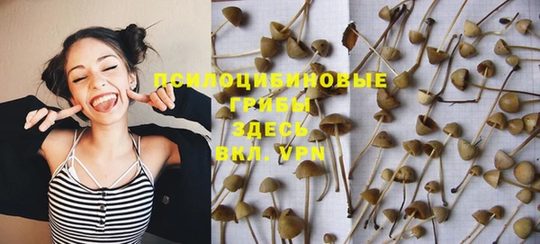 гидра Нефтекумск
