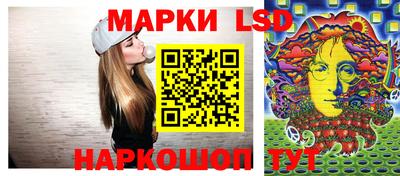 МДПВ Донецк