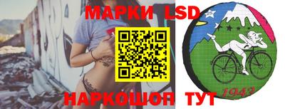 амф Донской