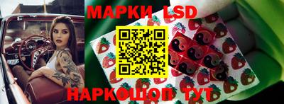 МДПВ Донецк