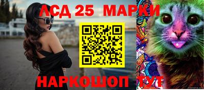 амф Донской