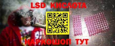 МДПВ Донецк