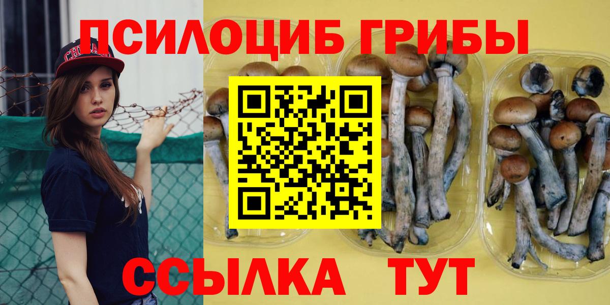 Псилоцибиновые грибы ЛСД  дарнет шоп  Конаково  Галлюциногенные грибы мухоморы 