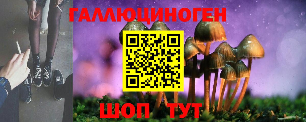 Псилоцибиновые грибы мицелий  Вход с VPN  Галлюциногенные грибы мицелий  Конаково 