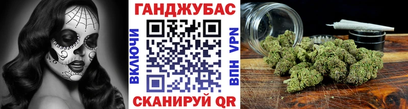 Конопля план  как найти наркотики  Конаково 