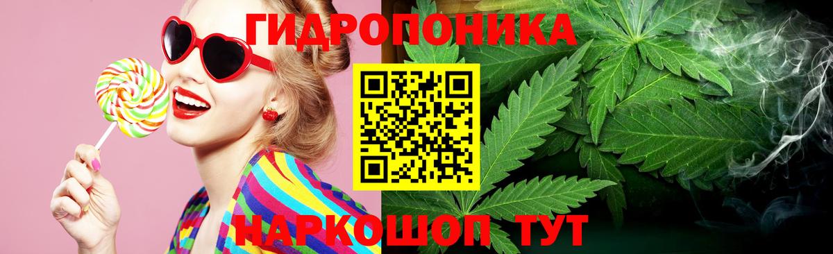 Шишки марихуана конопля  МАРИХУАНА Bruce Banner  Конопля гибрид  Бошки Шишки гибрид  Конаково 